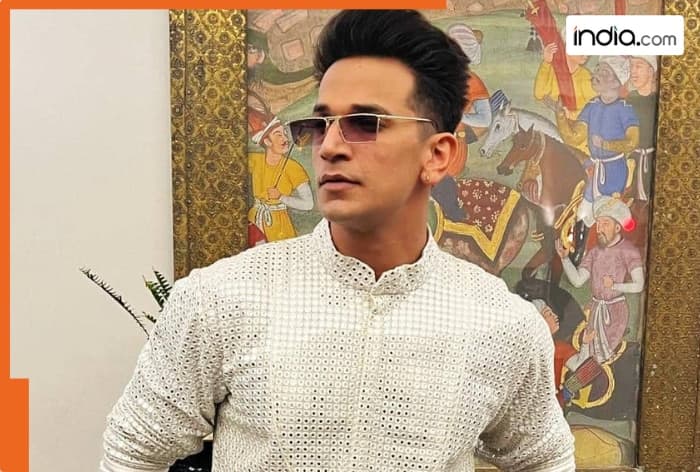 Is Roadies fame Prince Narula’s arrest in the Delhi mosque demolition case, real or fake? Here’s the actual truth